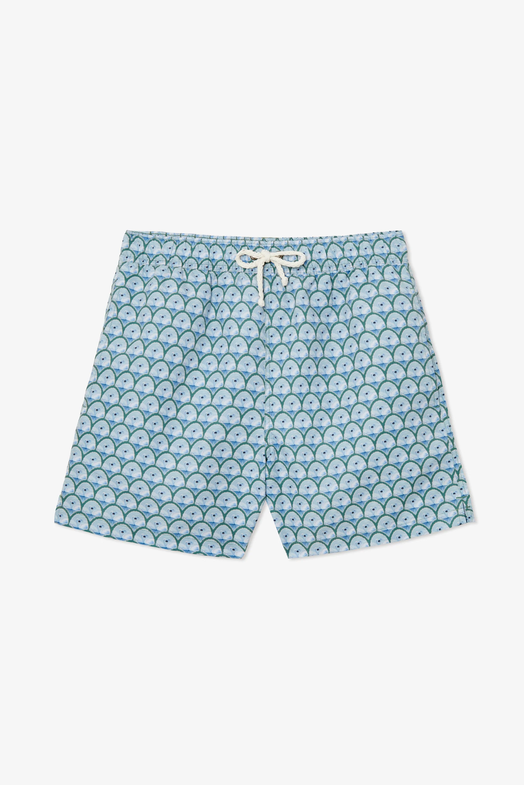 MAN COLLECTION